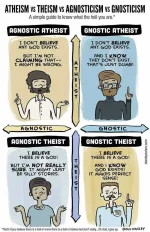 AgnosticGridStanley.webp