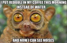 e-And-Now-I-Can-See-Noises-Funny-Water-Animal-Meme.webp e-And-Now-I-Can-See-Noises-Funny-Water-Animal-Meme.webp