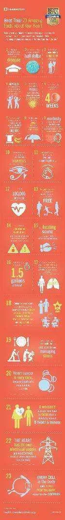 17-HHB-3977-Heart-23-Facts-Infographic_2017.webp 17-HHB-3977-Heart-23-Facts-Infographic_2017.webp