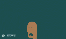 head.gif