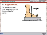 slide_7.webp