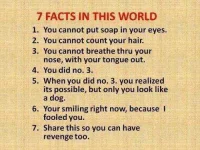 k68m6-7-science-facts.webp