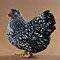Studio_SlvrLcdWyndt_5679_S.webp Studio_SlvrLcdWyndt_5679_S.webp