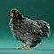 Studio_BlueBtmWyndtHn_862_S.webp Studio_BlueBtmWyndtHn_862_S.webp