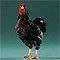 Studio_BlueBtmWyndtRs_838_S.webp Studio_BlueBtmWyndtRs_838_S.webp