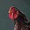 Studio_BlueBtmWyndtRs_853_S.webp Studio_BlueBtmWyndtRs_853_S.webp