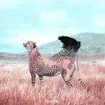 argVpbB_460s.webp