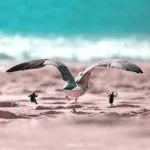 aW1xZmn_460s.webp
