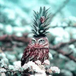 aq7nmbQ_460s.webp