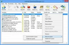 idm_screenshot1.webp
