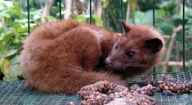 Wants-Amazon-to-Quit-Selling-Civet-Coffee-388501-2.webp