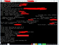 yLQ3MRPg.webp