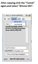 step5.webp