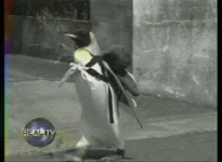 LFfMm5e.gif