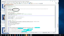 sample.webp