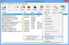idm_screenshot1.webp idm_screenshot1.webp