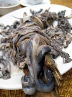 Exotic-Delicacies-Around-the-World-Tamilok.webp Exotic-Delicacies-Around-the-World-Tamilok.webp