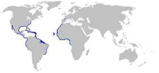 nurse-shark-habitat-map-1.webp
