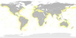 makesharkmap-300x151.webp