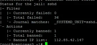 gN1U355.webp
