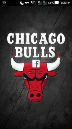 Bulls.webp