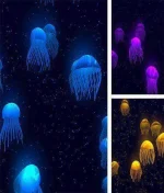 jellyfish_3d_by_womcd.webp