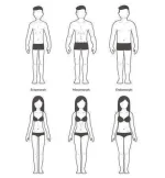 -endomorph-skinny-muscular-and-fat-bodytypes-fitne.webp
