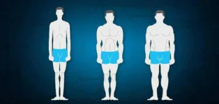 what-is-your-body-type-facebook-960x540.webp