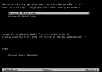 Capture.webp