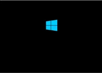 Capture1.webp