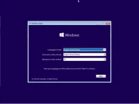 Capture3.webp