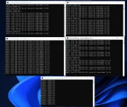 1639660910249.webp 1639660910249.webp