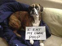 eat-my-own-poop.jpg eat-my-own-poop.jpg