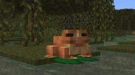 1639611172_frog-minecraft.webp 1639611172_frog-minecraft.webp