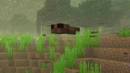 1639611135_tadpole-minecraft.webp 1639611135_tadpole-minecraft.webp