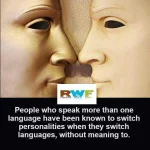 FB_IMG_1525018528809.webp