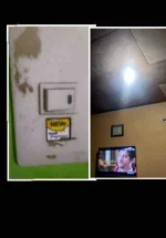 PhotoCollage_1292177199.webp