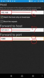 3.webp