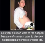 FB_IMG_1528276181350.webp