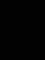 15287325174371388848521.webp