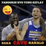 warriors .webp
