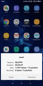 Screenshot_2018-06-29-13-01-11-137_com.android.vpndialogs.webp