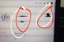 37779923_1003552259807073_7632814045053059072_n.webp