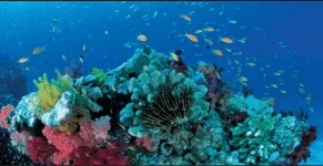 20180802_113054.webp
