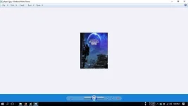 2.webp