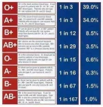 bl00d type.webp