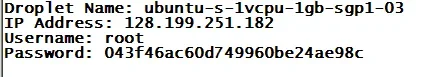 22.webp