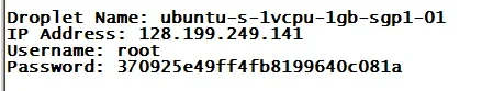 24.webp