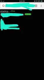 received_250151188977211.webp