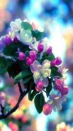 FB_IMG_15402622054513256.webp